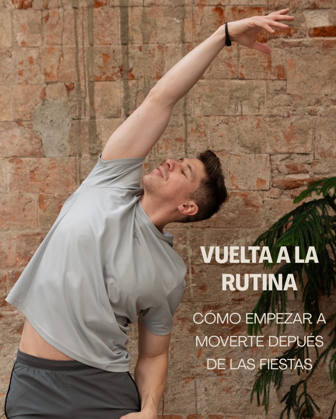 Alexis Fitness Coach