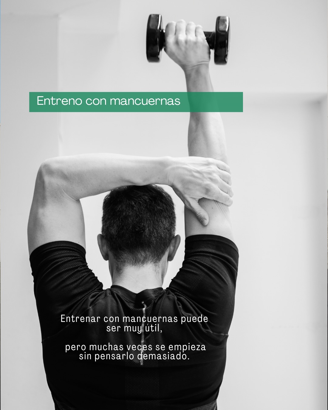 Alexis Fitness Coach